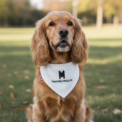 Bandana réversible fait main pour chien et chat – fabrication française