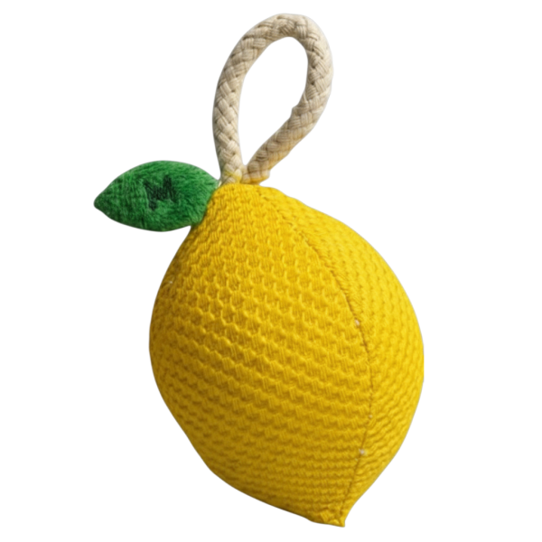 Jouet citron pour chat avec grelot