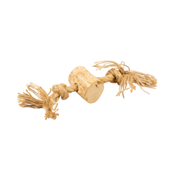 Jouet à Mâcher en Bois de Caféier – Pour chien