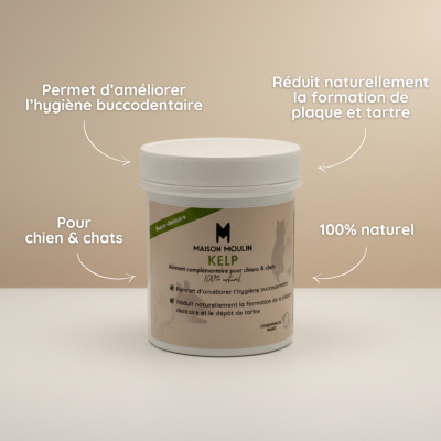 Kelp pour chien et chat – Hygiène bucco-dentaire naturelle