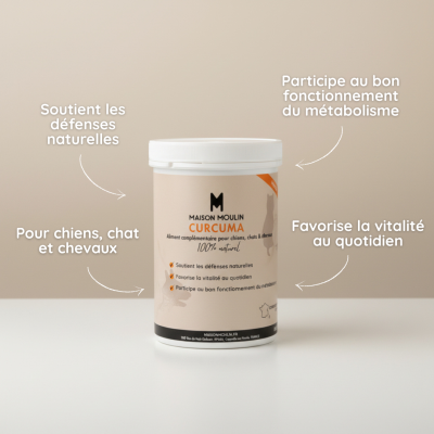 Curcuma pour chien, chat et cheval – Vitalité naturelle