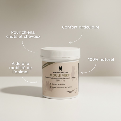Moule Verte Nouvelle-Zélande – Complément Articulations Chien, Chat & Cheval – Confort & Mobilité