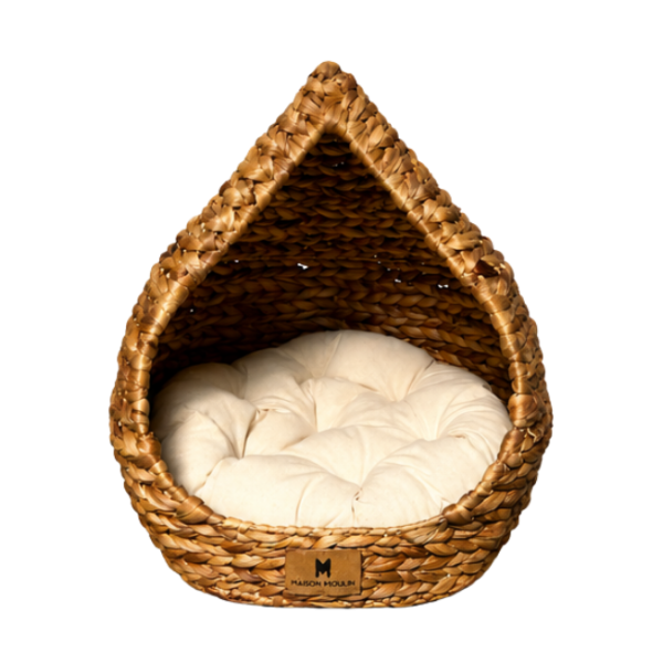 copy of Educational Treats for Dogs
