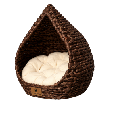 copy of Friandises aux insectes (Ténébrion Meunier) pour chien