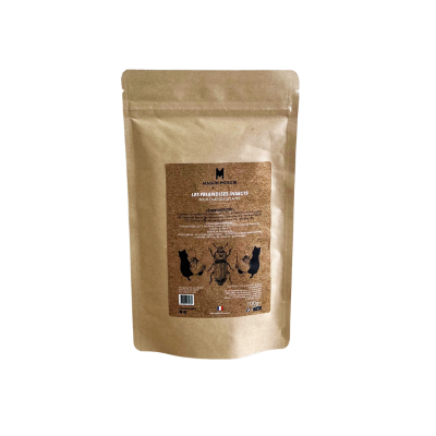Kit Découverte Chaton - Friandise, Matatabi & Croquettes